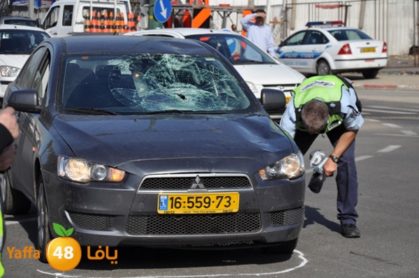 accbikeshalfem (12).JPG